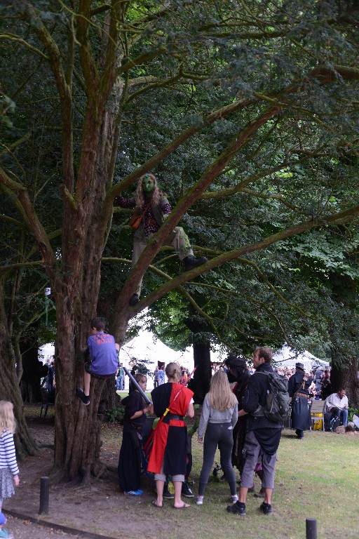 ../Images/Castlefest 2016 Zondag 010.jpg